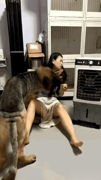 今天在街上，看到个小姑娘，真就一米六不能再多了。
旁边跟着个大家伙，罗威纳，那脖