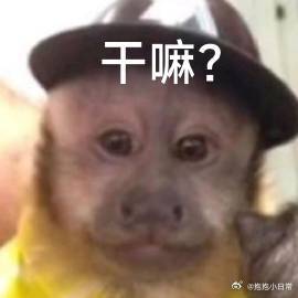 开学第一周我的胃belike 开学第一周，胃的幸福感满满！米线、汉堡、奶茶、麻辣