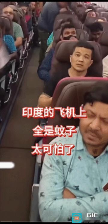 他们不是在鼓掌，而是在拍蚊子

一架印度飞机机舱里都是蚊子，让乘客苦不堪言只能不