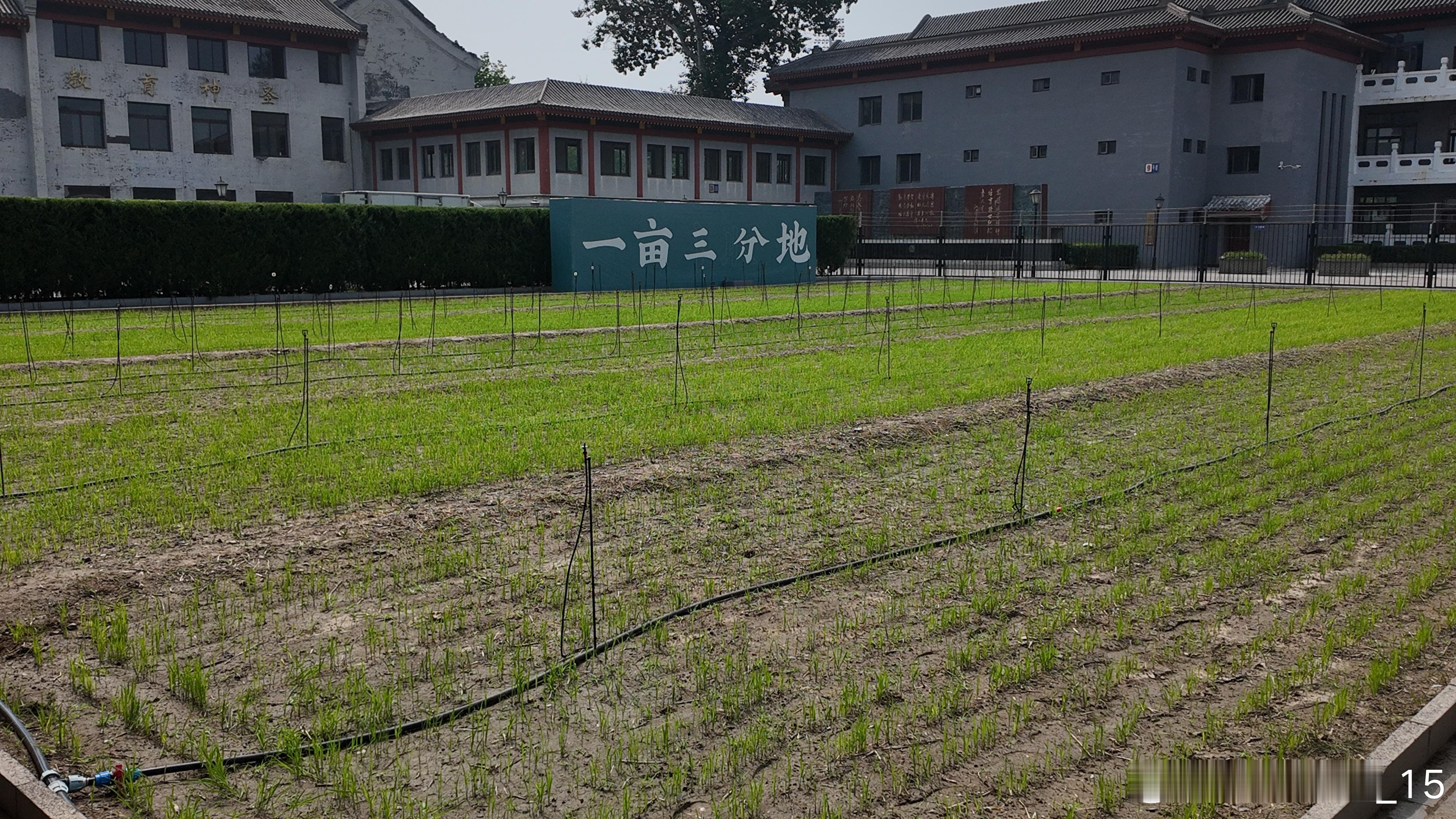 我的2026 一亩三分地这几年越来越有样儿生活手记发现极美北京