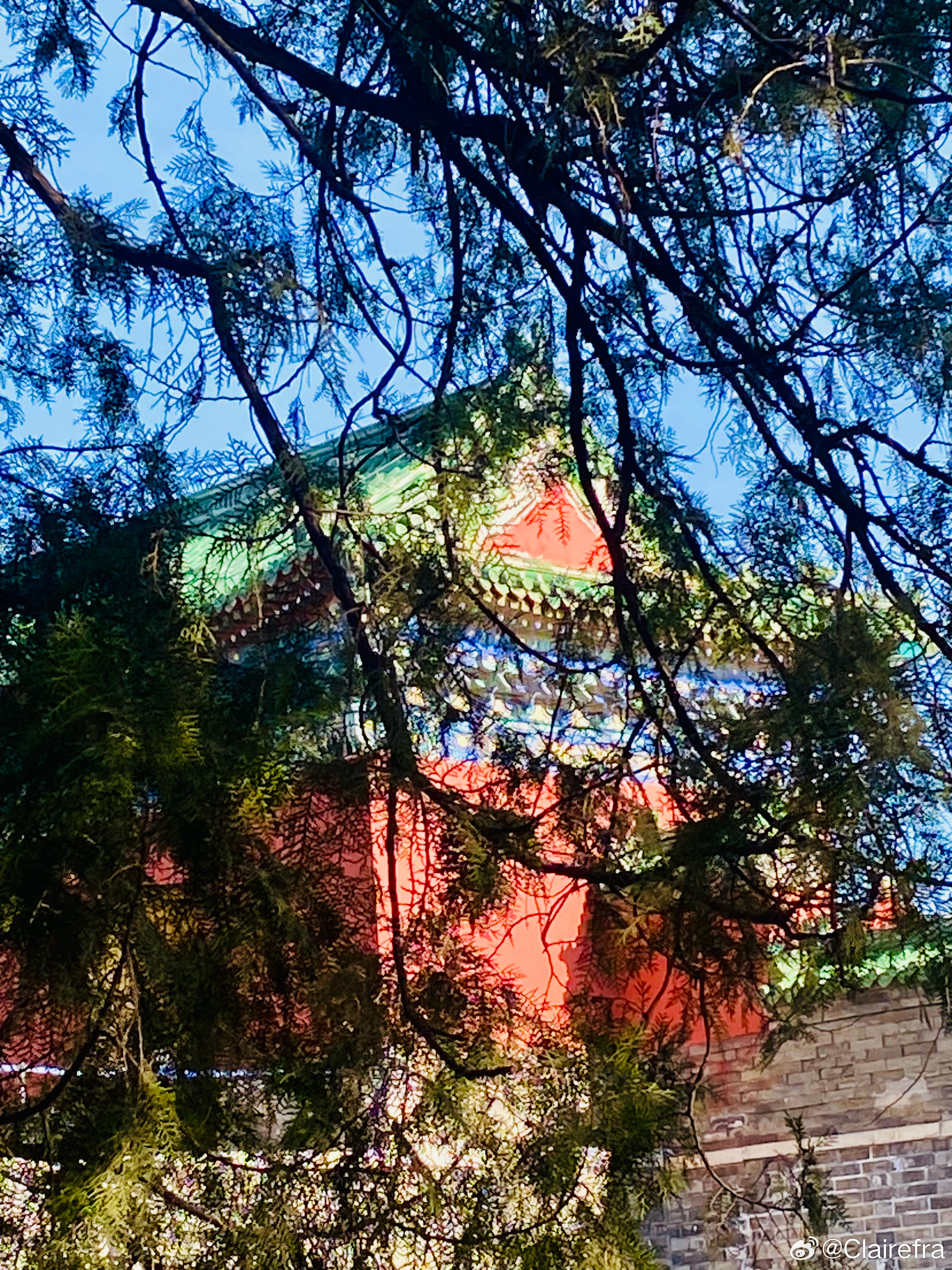 愿倪安好 随手拍 “不负冬日暖阳，尽享美好时光”。 晚安💚 北京·天坛公园