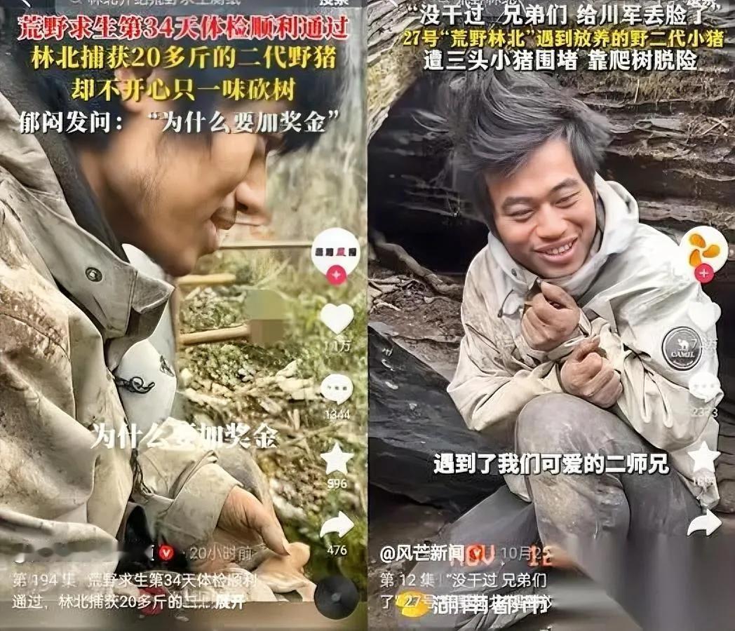 林北要拿冠军了？

这操作看呆苗王！

20斤野猪直接扛回家，80斤猕猴桃堆成山