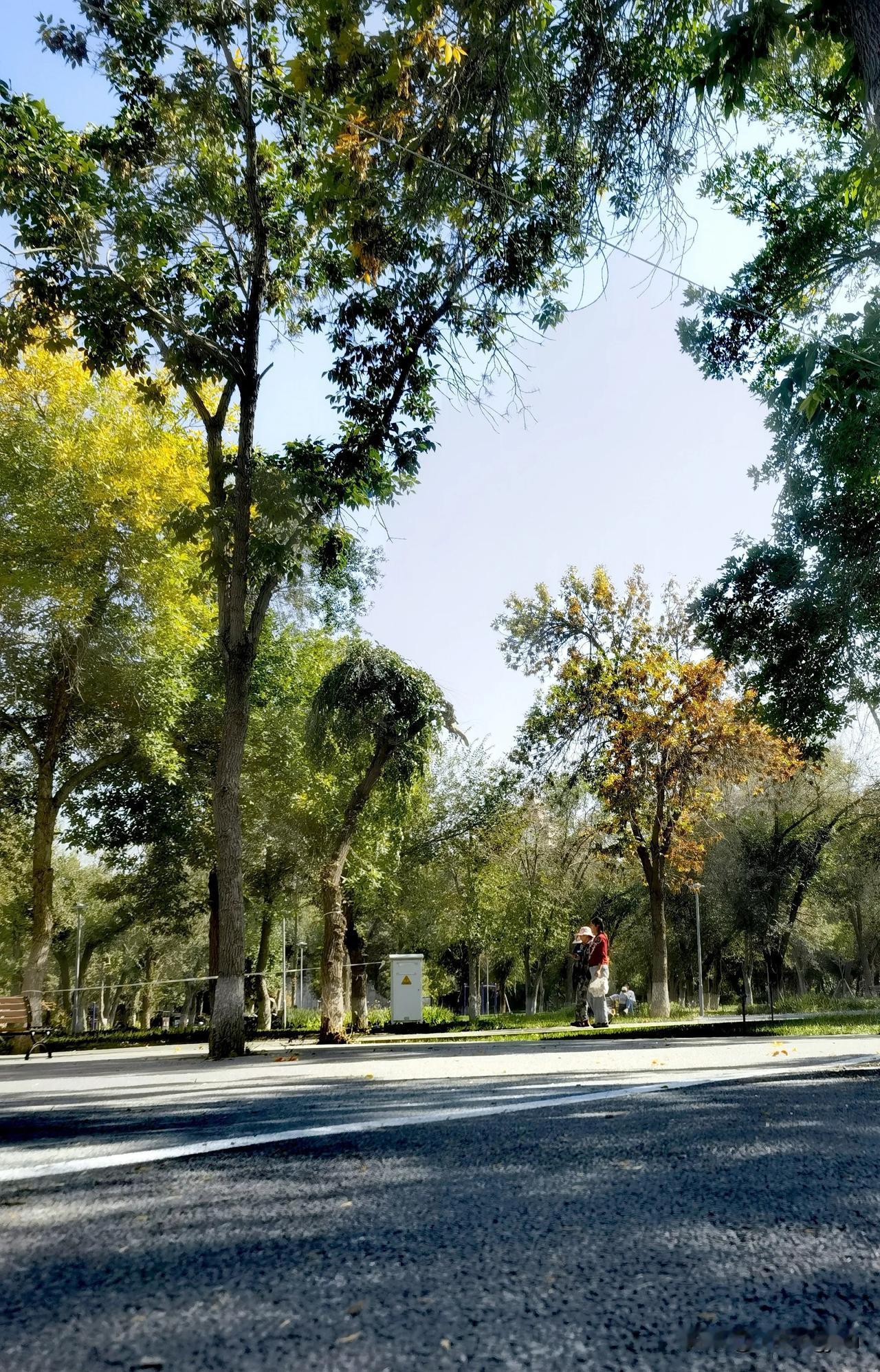 #分享一张在路上的照片#秋色之空，景色很美，大家在周末中闲逛秋色里的色彩斑斓。