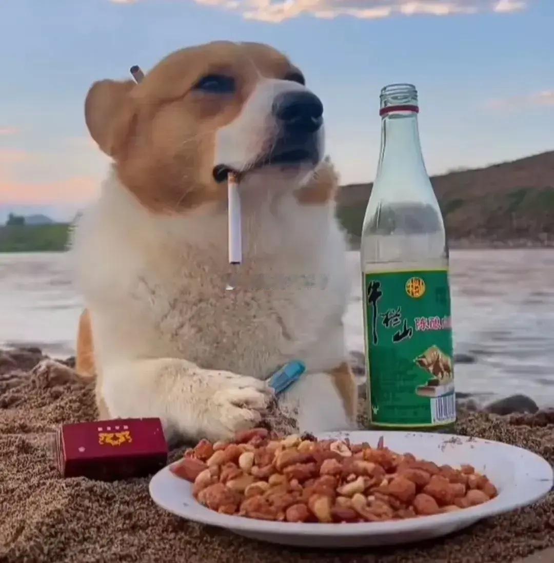 二手车市里的大户一家接一家的来，一家接一家的走，是把钱放洗衣机里了吗？？？