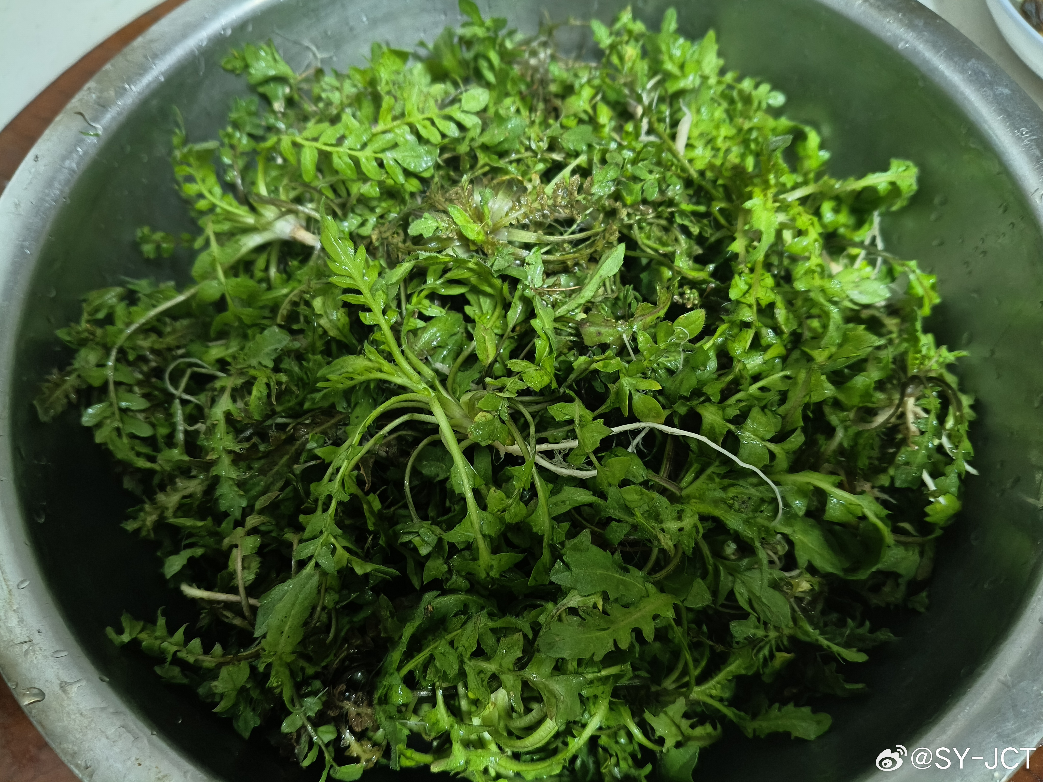 今天下午的劳动成果:  纯天然，新鲜的荠菜