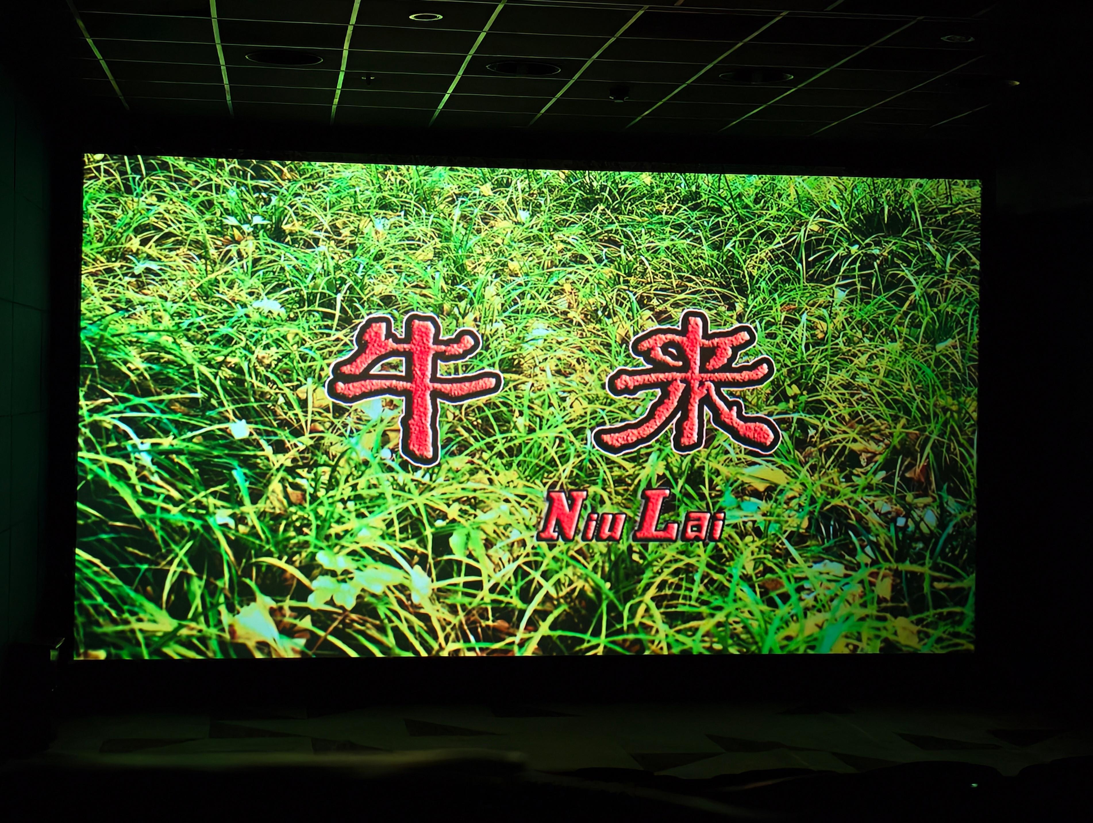 白天牛来，晚上耕牛今日是很"牛"的一天 