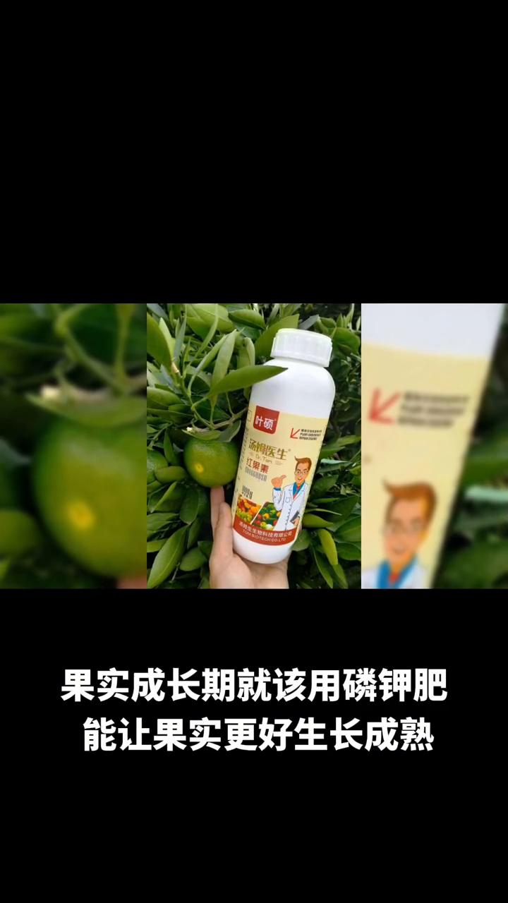 苹果树合理施肥浇水很有讲究。
施肥方面不同生长阶段肥料不同。
·萌芽和生长期用氮