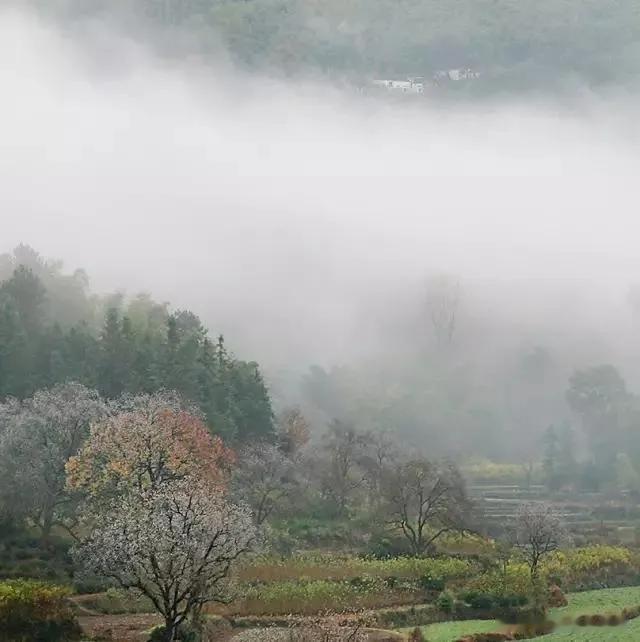 上联：雾重难寻，家在云烟缥缈处；
下联：诗友请[玫瑰][玫瑰]
