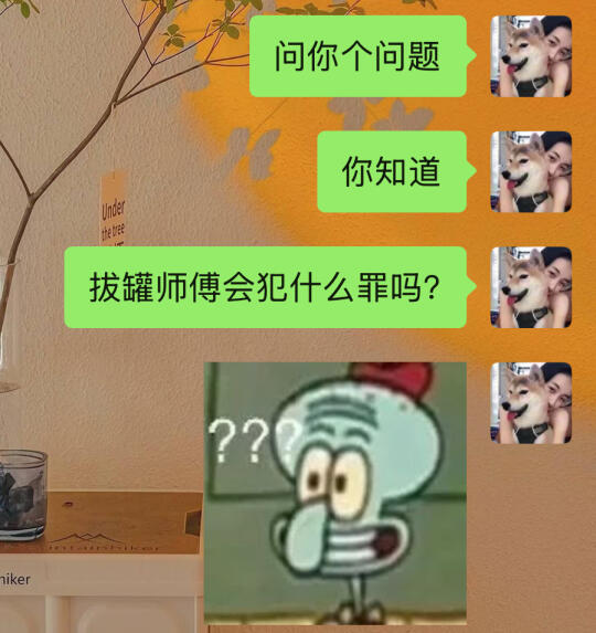这个贱我必须犯