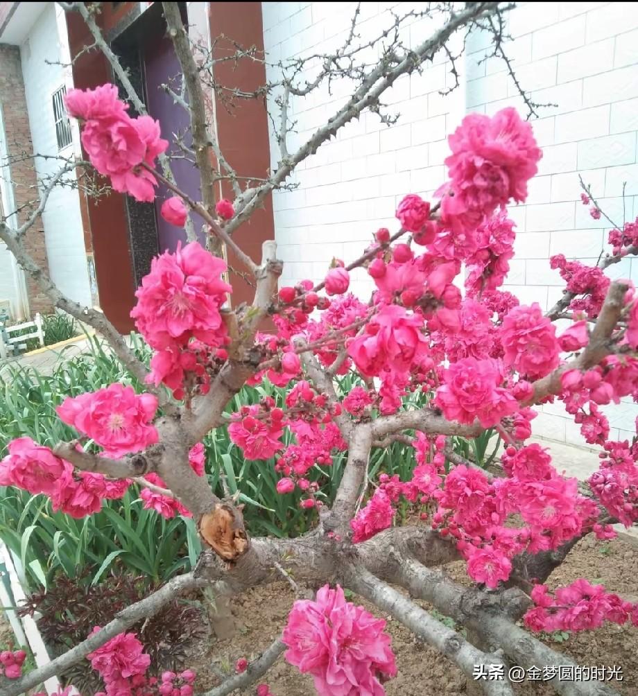 读书有用吗？读书的挣钱还不如没有读书的。这该怎么解释。

读书无用论，再一次被人