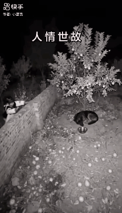 人情世故……[捂脸]