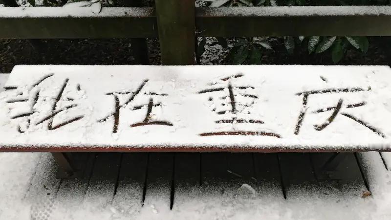 重庆冬季旅游有不少宝藏景点。像需要预约的，重庆动物园门票25r，提前3天约8:0