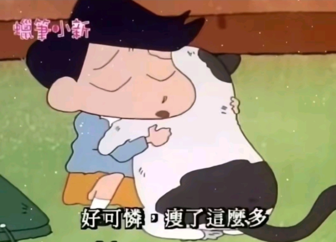 左航回去见到厚米：左航一路向海的少年