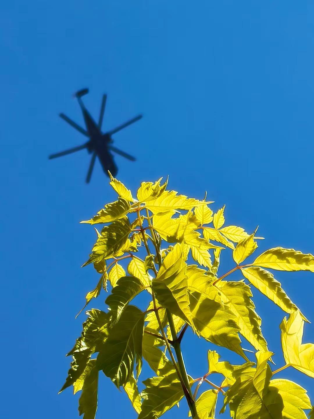 银翼划破碧空，信仰铸就锋芒，党旗所指，军旗所向。