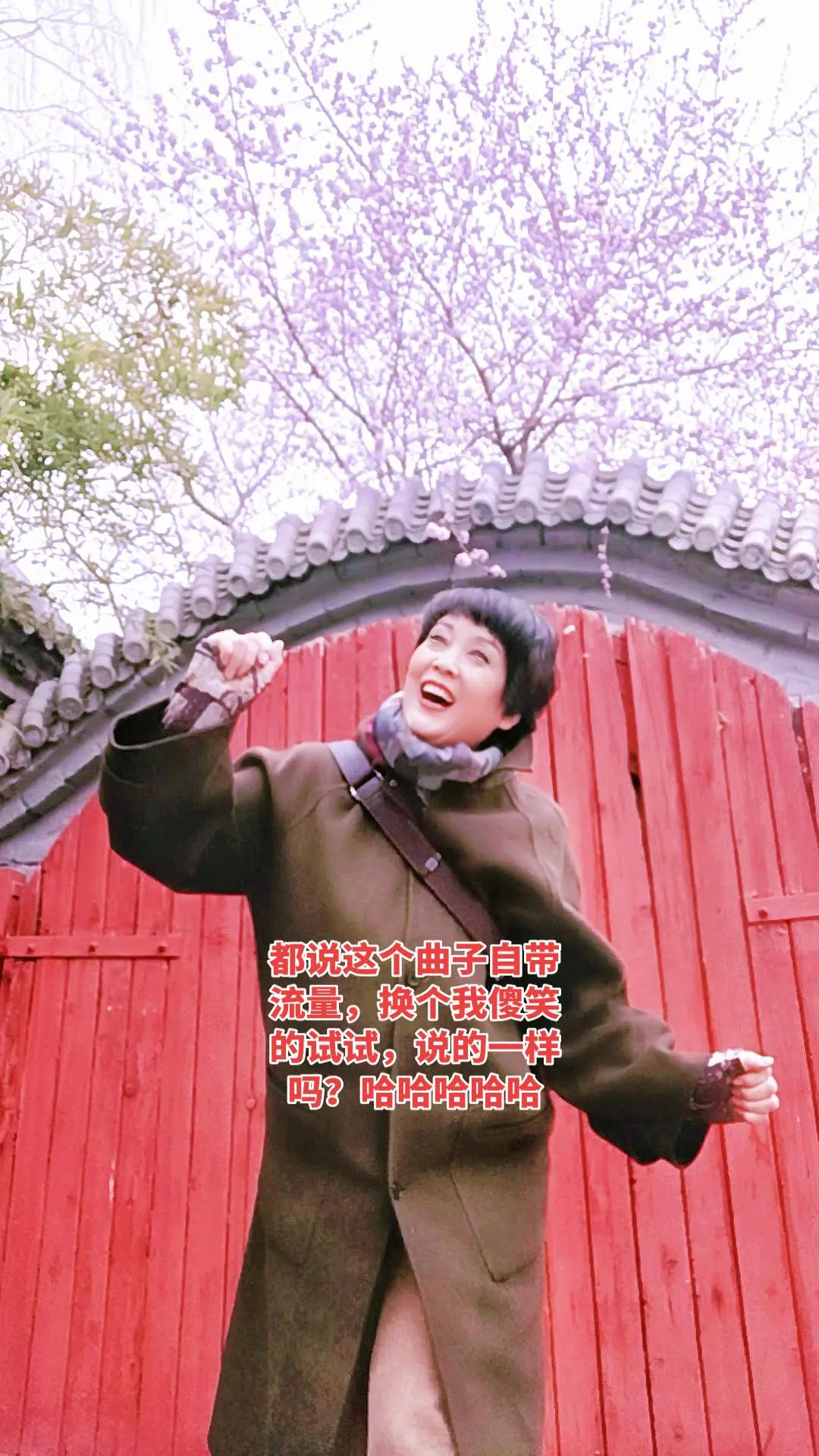 没有有人爱看老末卡刺眼的，换个曲子试试看看有人看吗？哈哈哈，天津本土找乐子戏法