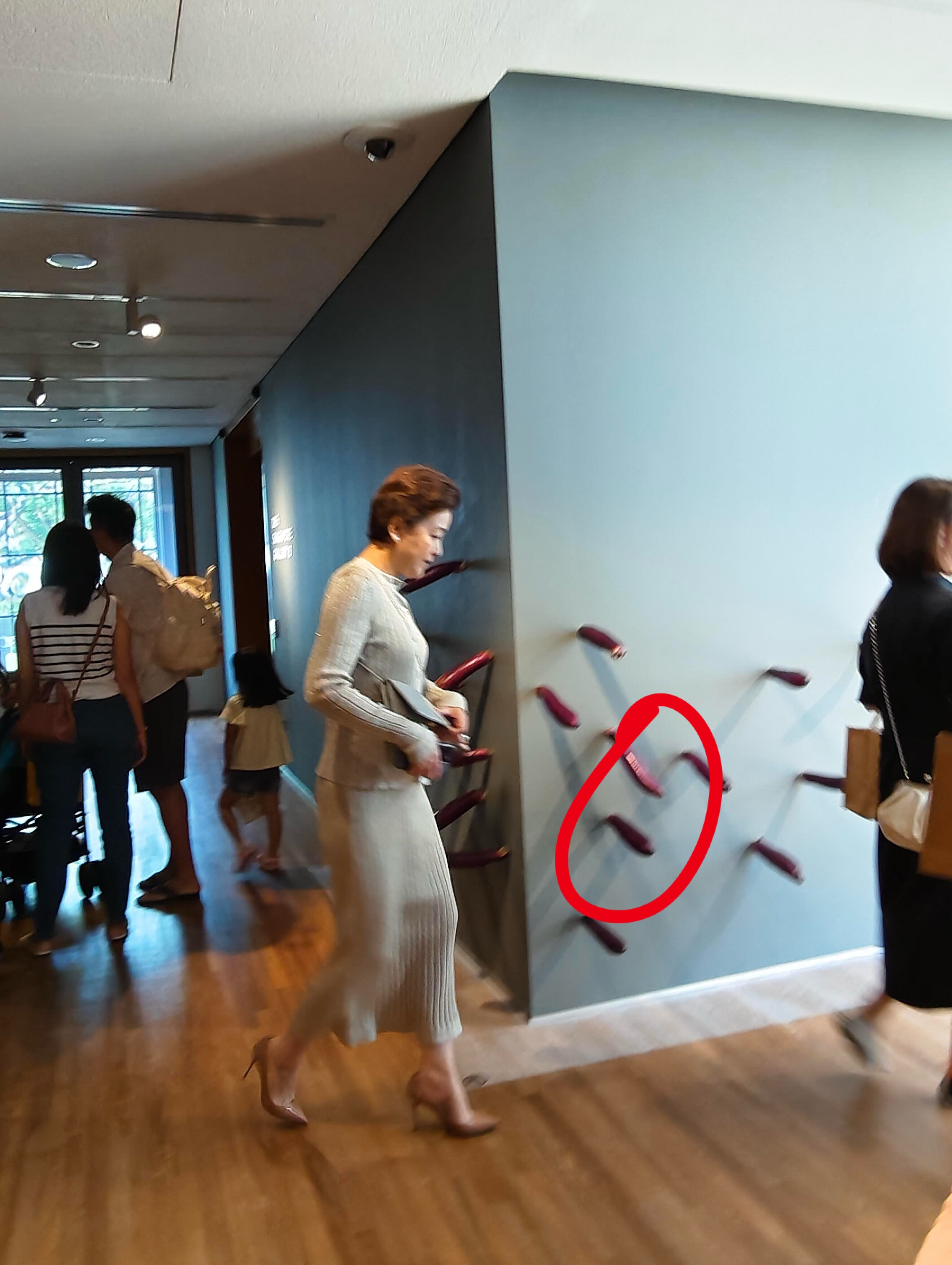 网友新加坡偶遇杨澜逛展，话说这墙上是啥？ ​​​