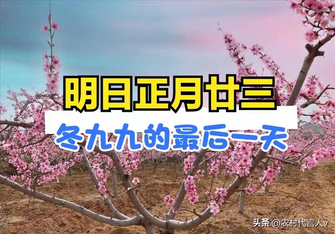 明日正月廿三“九尽日”，冬九九最后一天，提醒大家4件事别犯了忌讳。
 
“九尽桃