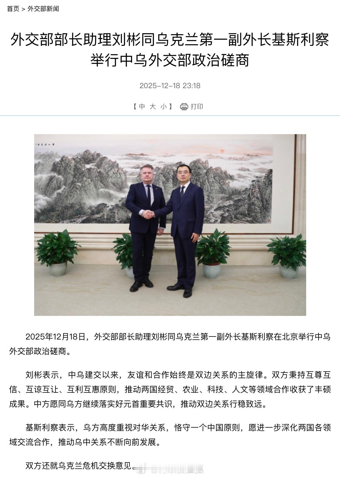 中乌政治磋商俄乌冲突