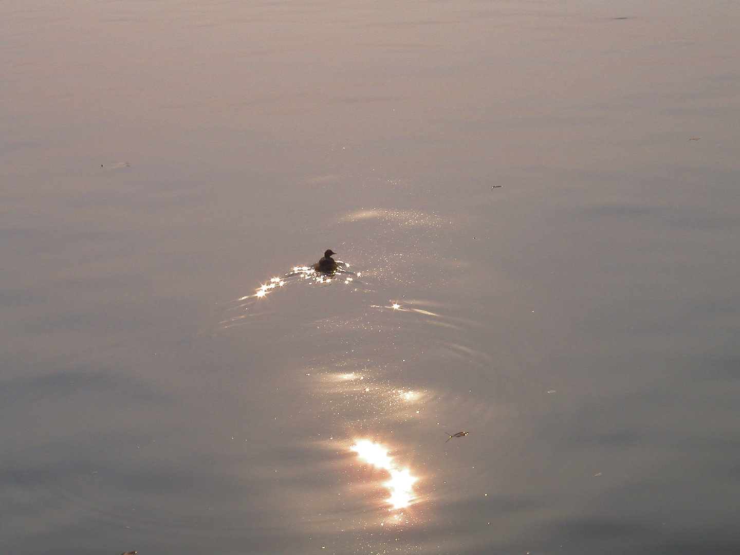 命运啊，说是注定，不如说是你忘了是在何时做了选择。丨吴淼《塔希里亚故事集》 ​​