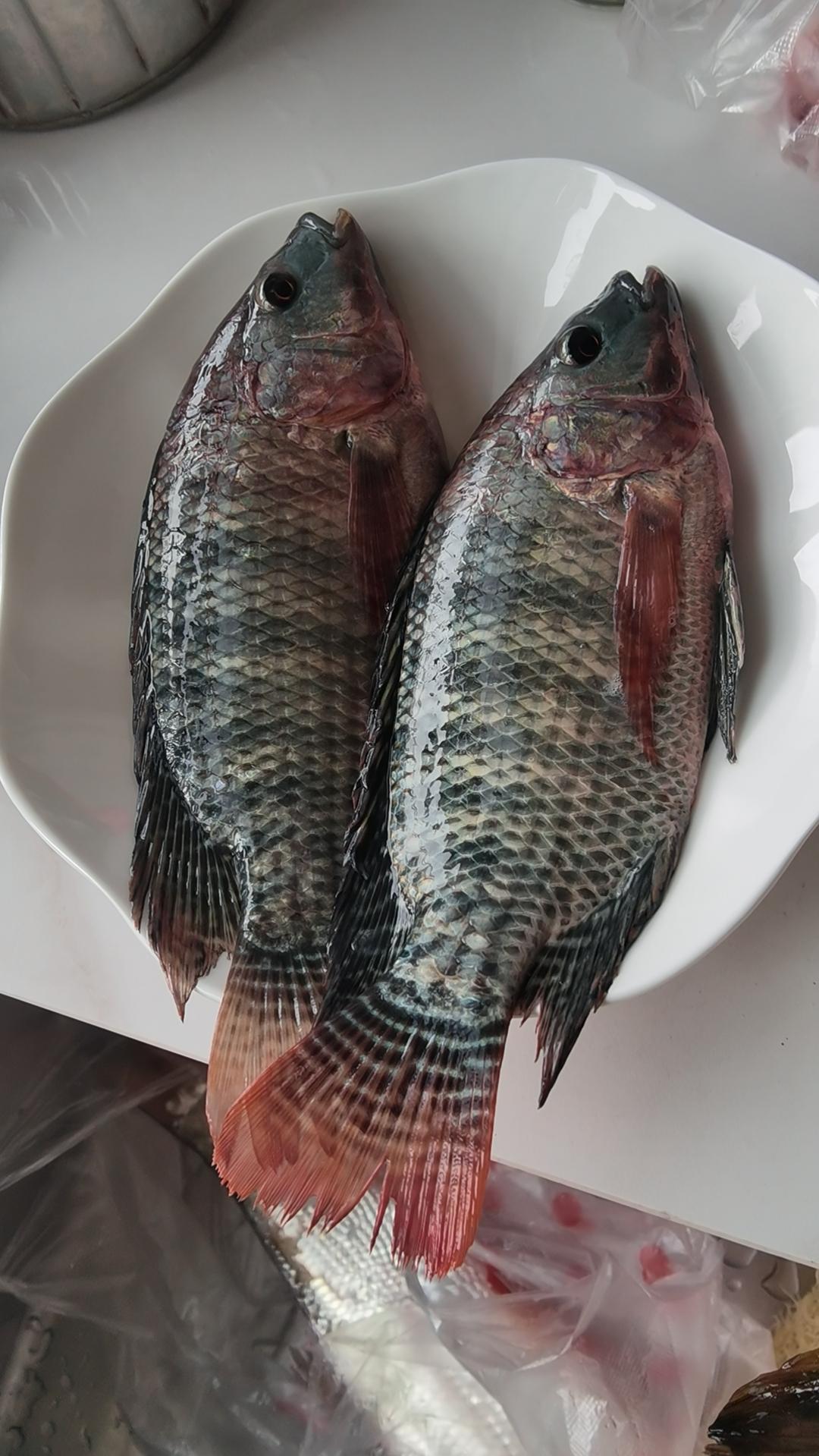 [烟花][烟花]早上去菜市场买的鱼，昂刺是野生的么？25元一斤贵不贵？另外两条鱼