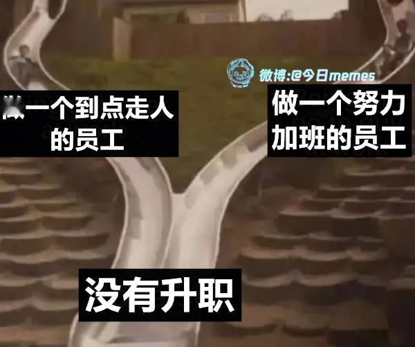 空降经理（9gag）今日meme 今日memes