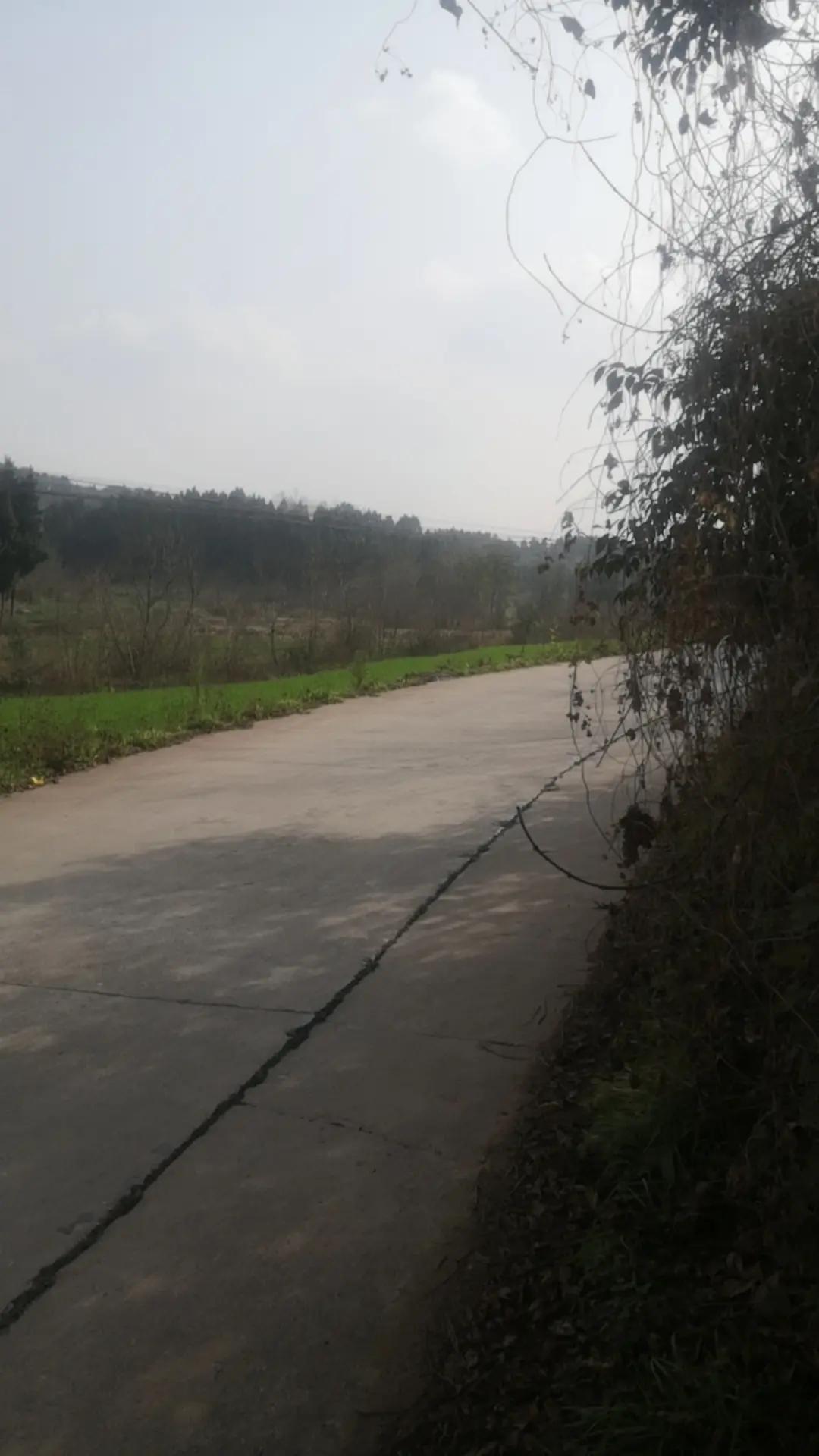 农村景色宜人，冬天的太阳还是那样温嗳这就是我美丽的家乡 这就是生我的地方 还是乡