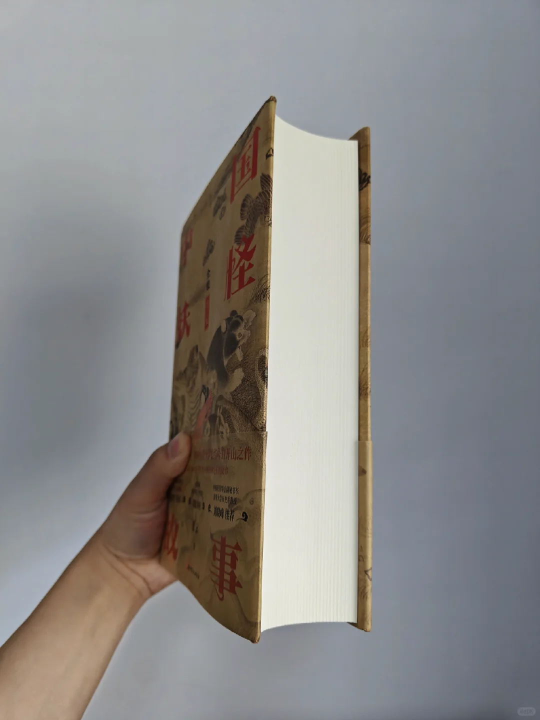 狂看三天三夜，这本妖怪故事震撼我一整年
