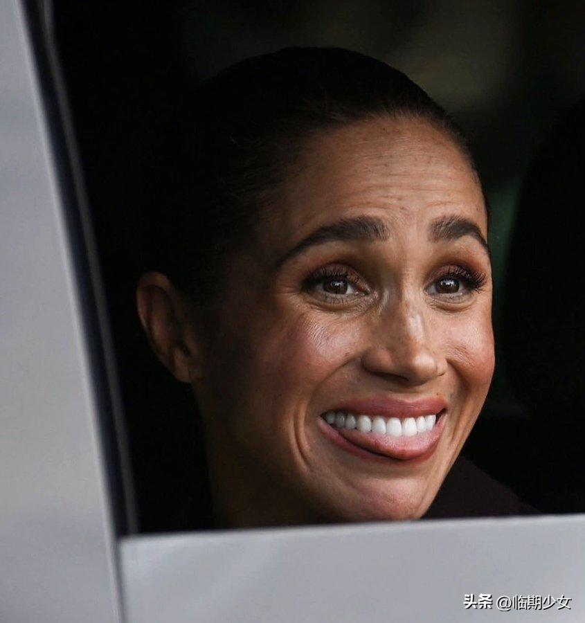 梅根想要，梅根得到！
新的一周，让我们以梅根的态度对待工作！从梅根身上，我们能得