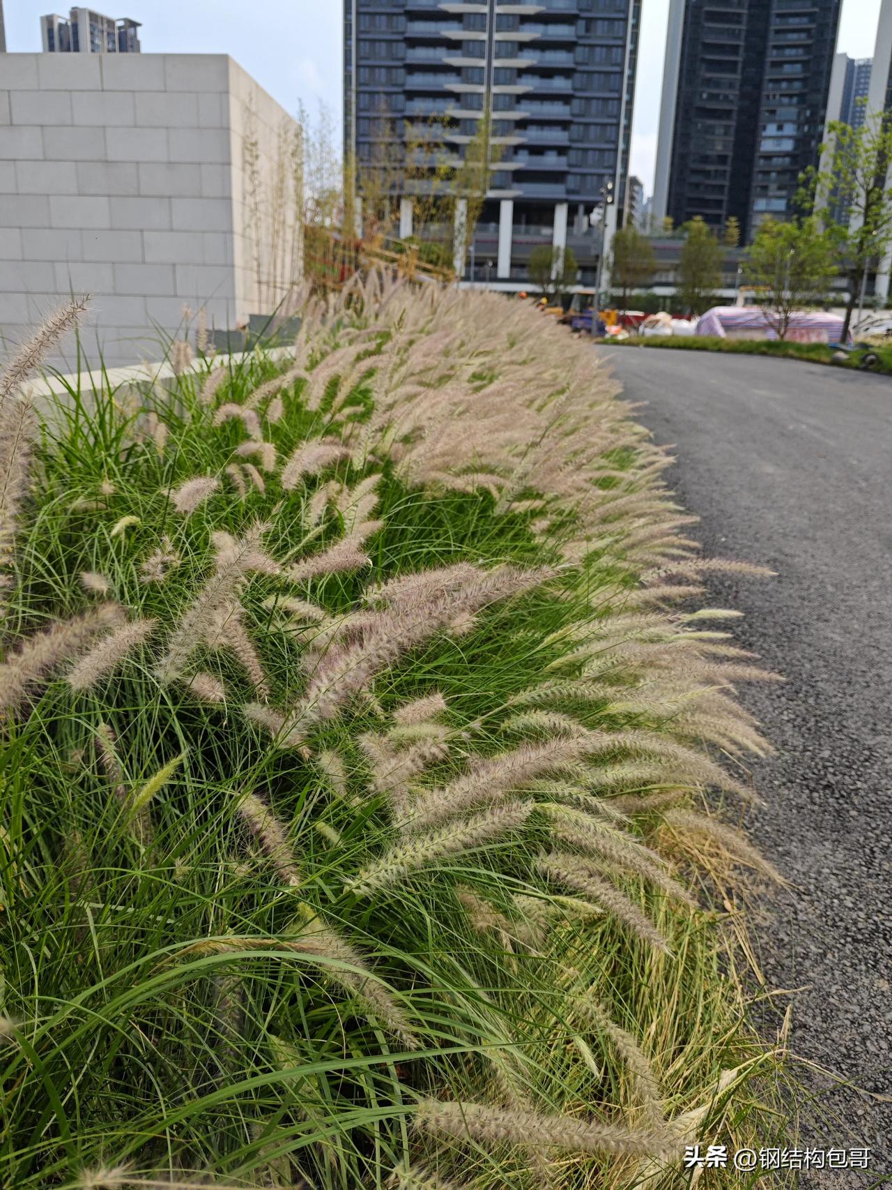  心宽一寸，路宽一丈，少点计较，多点欢喜