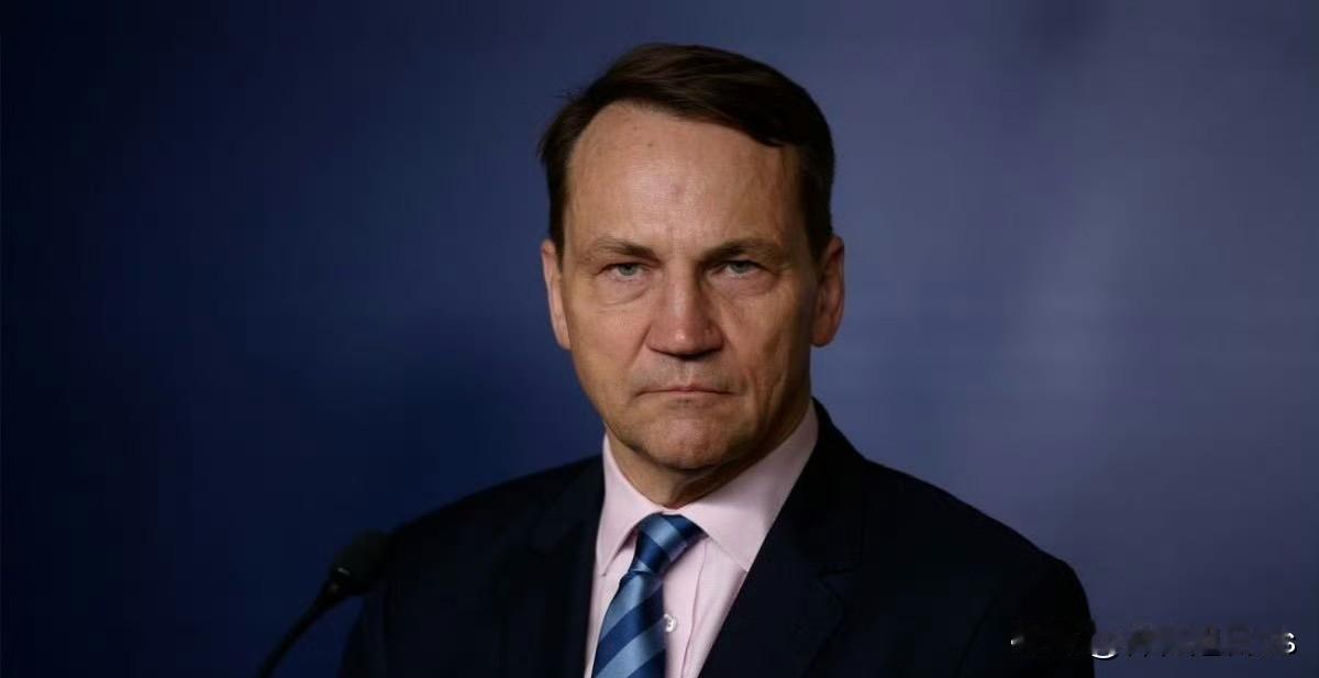 Sikorski：乌克兰战争可能像「第一次世界大战」般结束，普京资源消耗将成关键