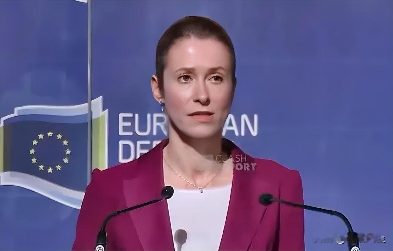 也有紧迫感了: 让我把话说清楚，我们需要强有力的跨大西洋关系，美国仍将是欧洲的伙