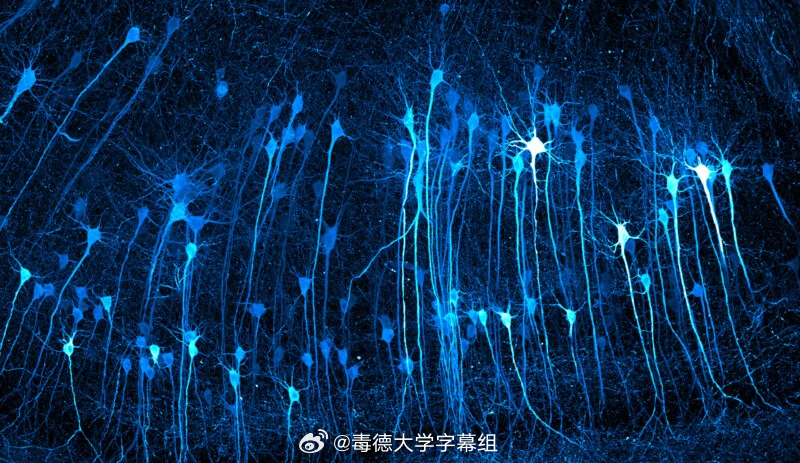 尼康 Small World摄影大赛第52届冠军出炉——把喷墨打印机拍出魔法感！