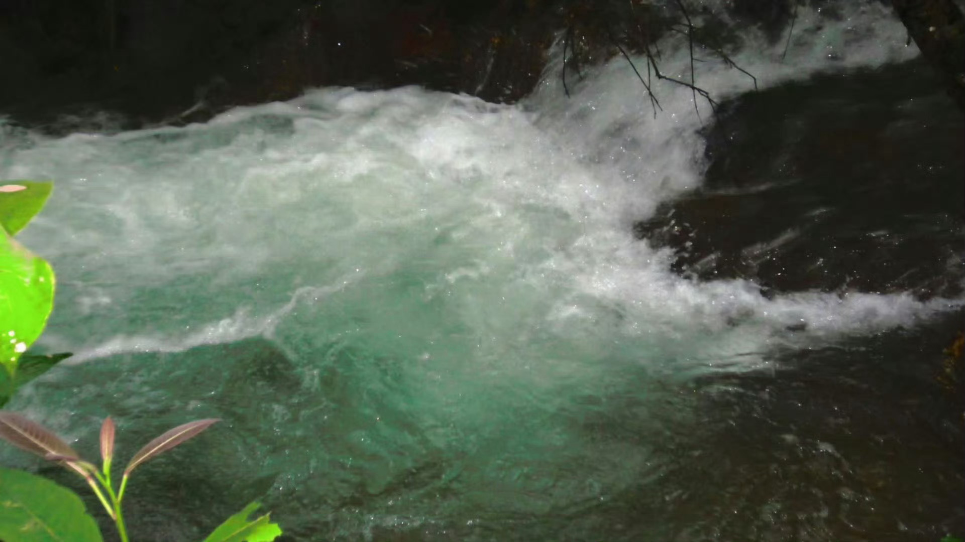 【裴珠泫 刘浩存 柳智敏】你的存在让春天有了意义🍃 