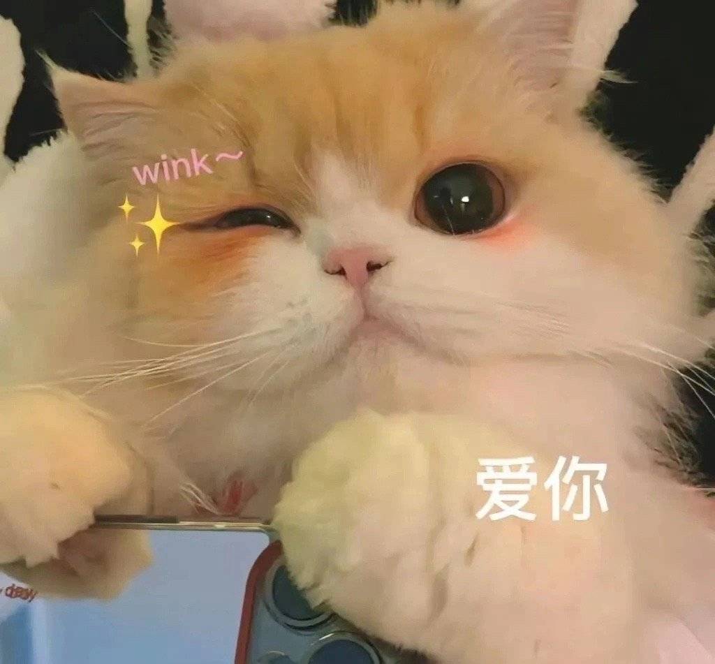 明天见啦～[心]​​​
