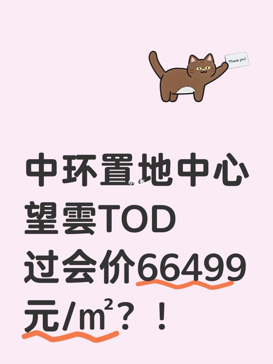 中环置地中心望雲TOD过会价66499元/㎡？！老业主哭晕在厕所了！