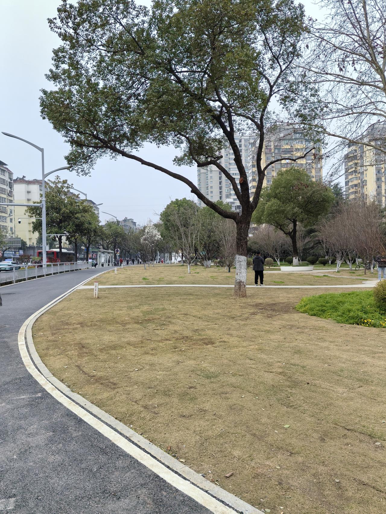 2026马年春节，“天南地北大拜年”成了全网顶流。从东北雪原到岭南水乡，从西北大