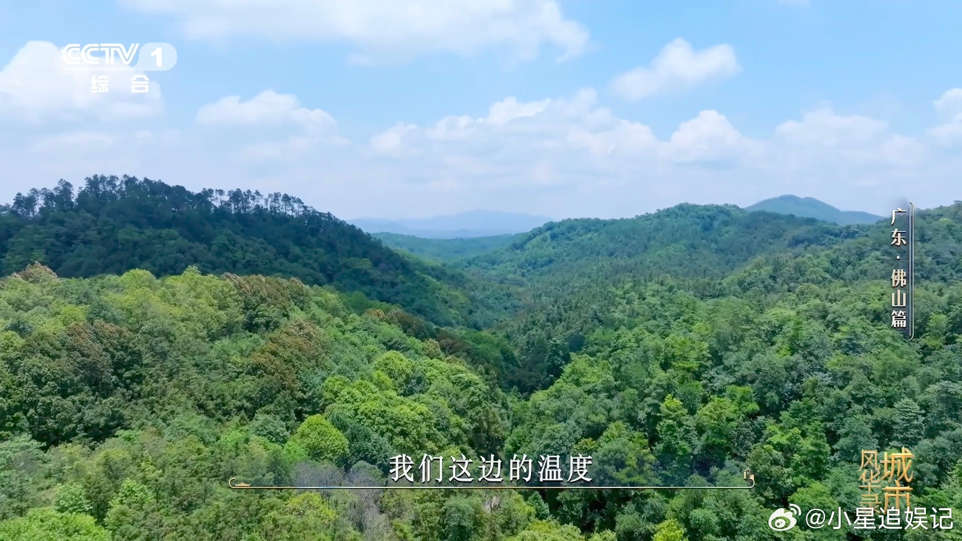 金毛狗是一种植物佛山在荒山种1000多万株树把荒山变林海，还规模化保育保护植物金