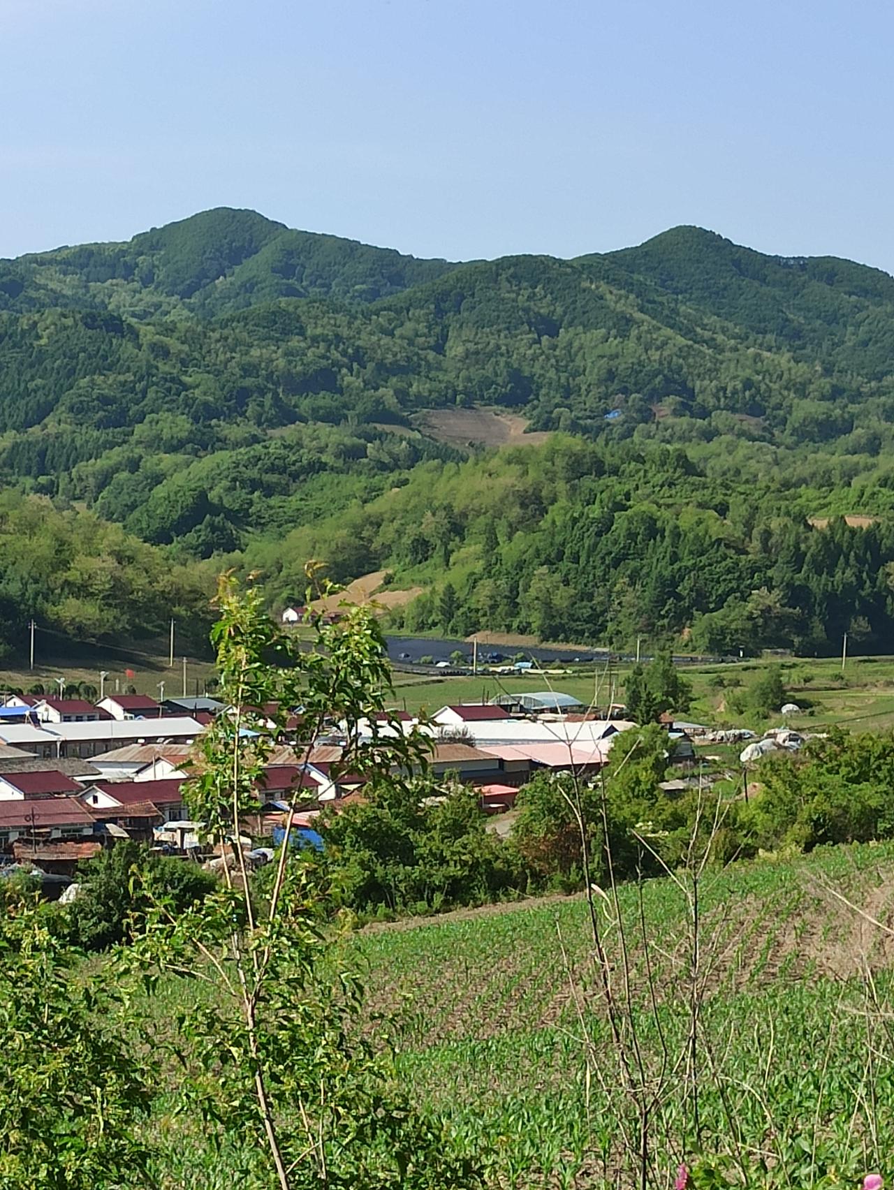 大家有没有发现，再凶的人也怕狠人。我和我们村的村霸有过一场终极较量，从那以后，他
