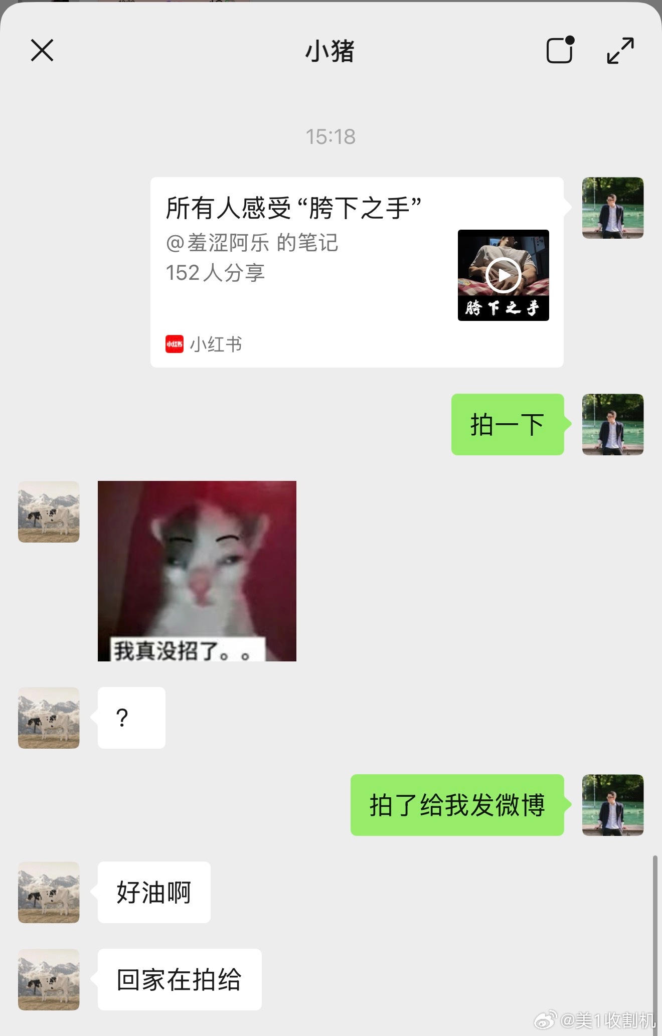 他现在就这么宠着我 
