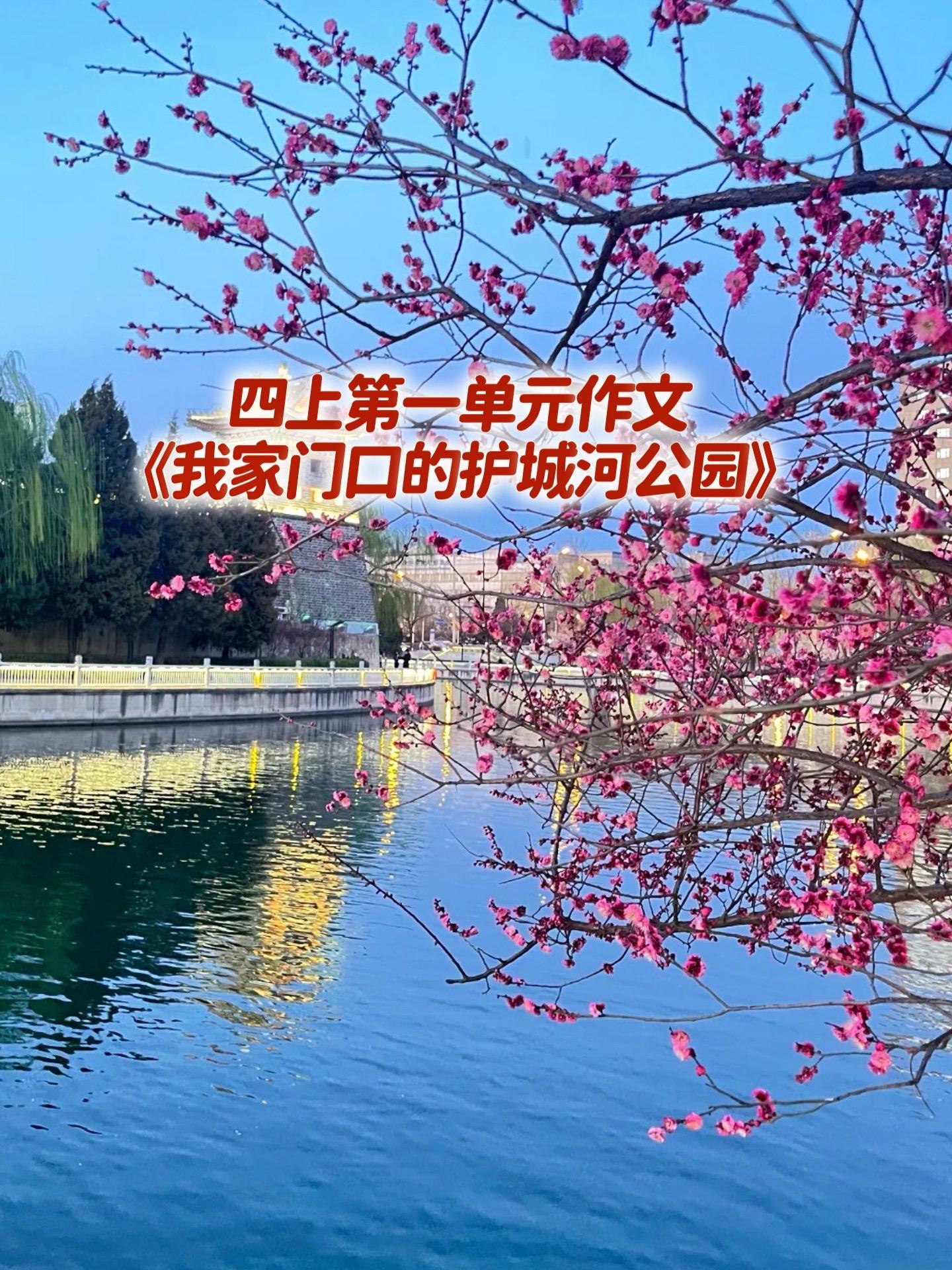 《我家门前的护城河公园》 优秀范文。家长必读，小学四年级上册第一单元习...