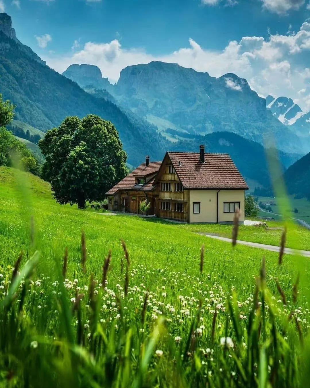 厅长被查了，其实是一位非常优秀的学者，但是我们很多同志把握不住呀，公器私用，老百