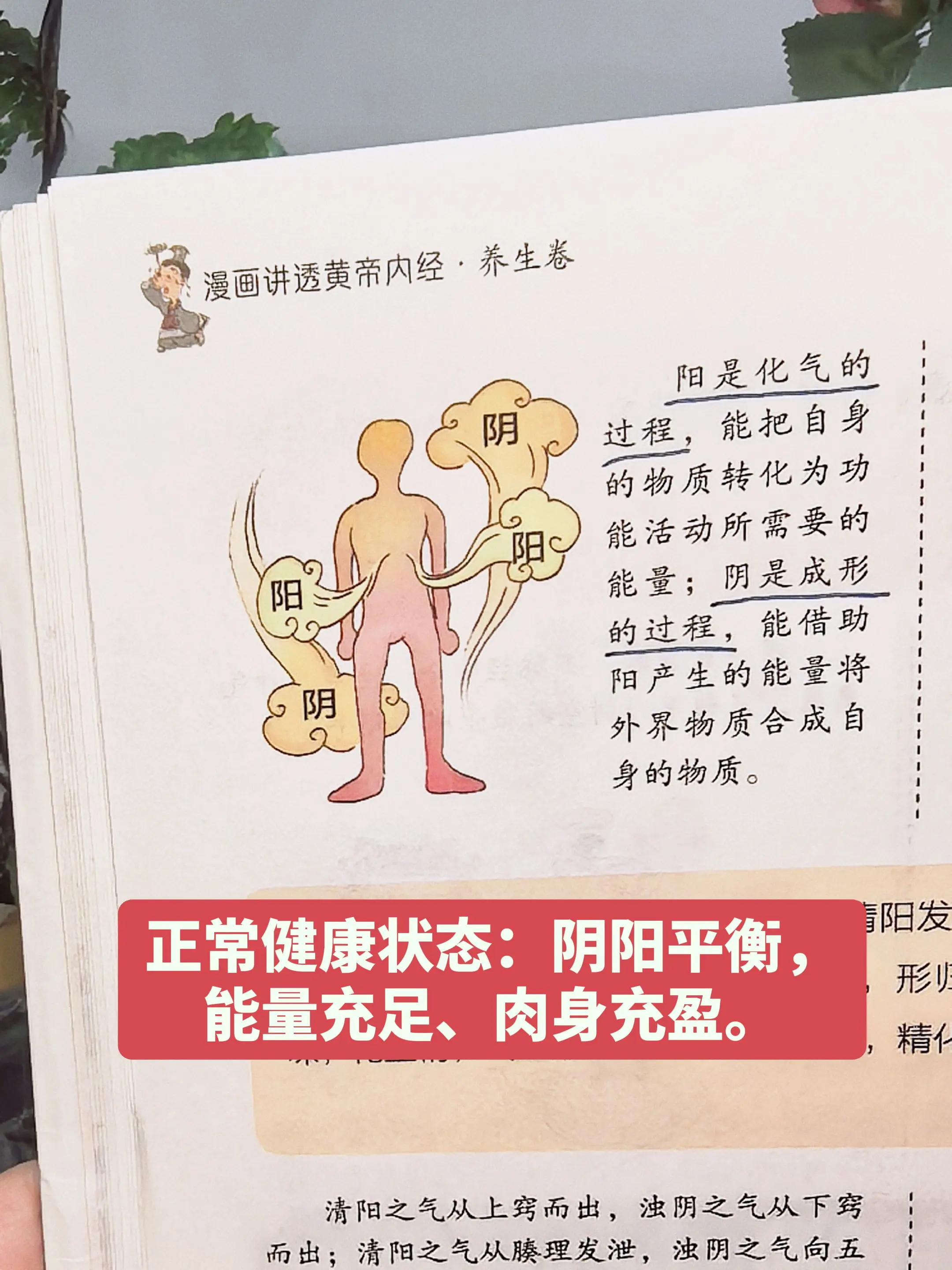 没精神又燥热失眠？可能是阴阳失衡在悄悄拖。作为宝妈，既要兼顾工作又要带...