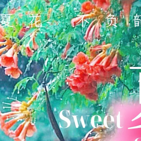 日行一善 💚 阳光信用 心善，是一种美德，人善，是一种修养，真善，是一种功德，