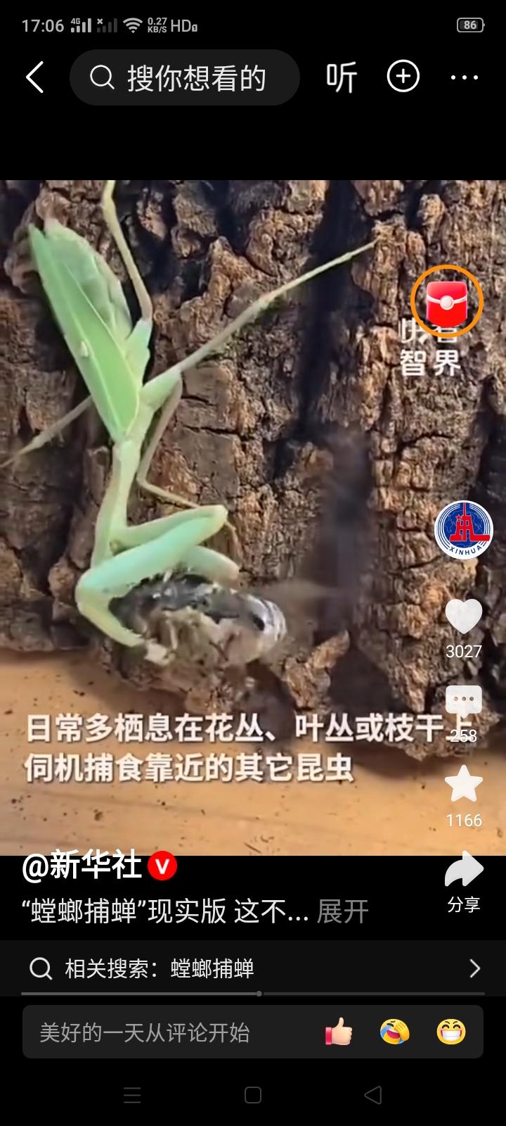 《新华社》突然发个螳螂捕蝉的视频是什么意思？蝉不就是“知了猴”吗？那“螳螂”是谁