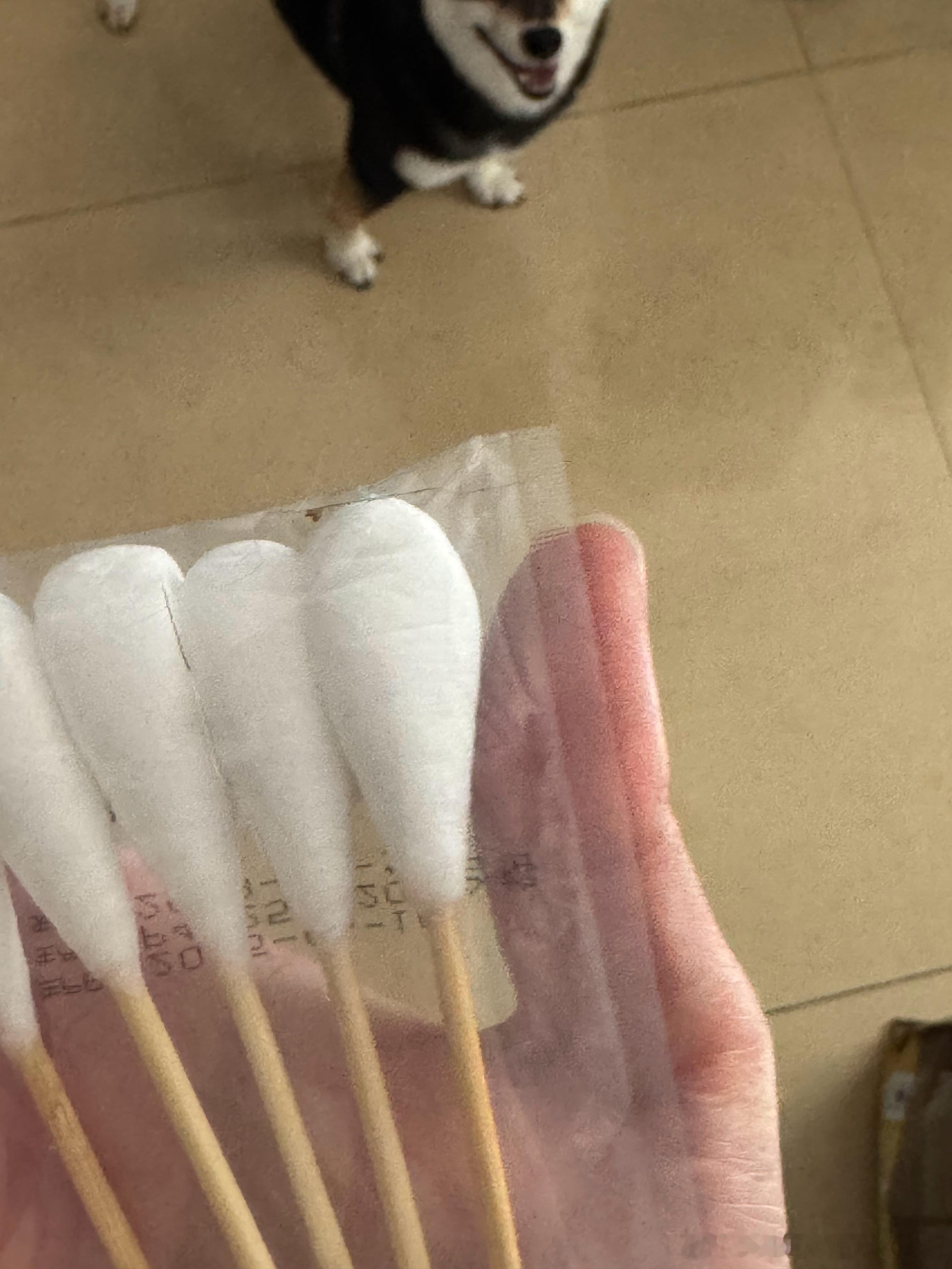 谁能给我讲讲这个棉签的应用场合素？棉签头比我手指头都要大了🥲🥲🥲 ​​​