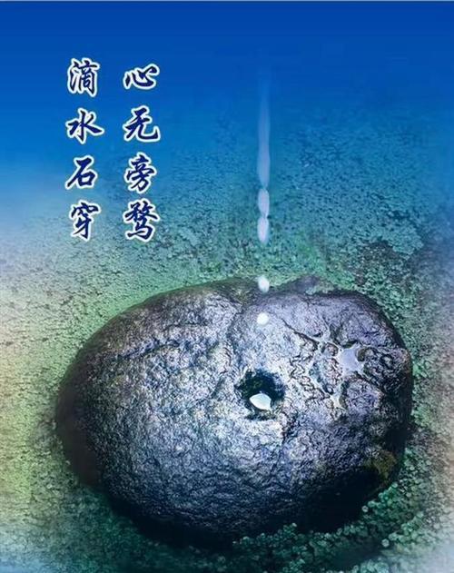网络上非常火的一段话：“现在的这个大环境，你不买房赢了，不买车也赢了，不去创业也
