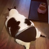 赵二爱聚娱乐