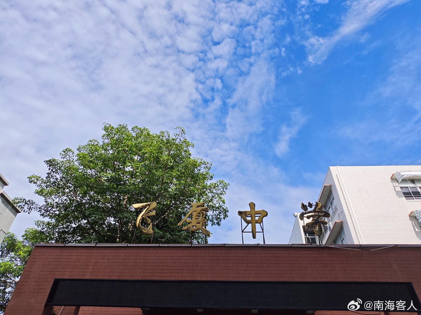 今天随手拍了一张，没想到效果还挺惊喜的。 