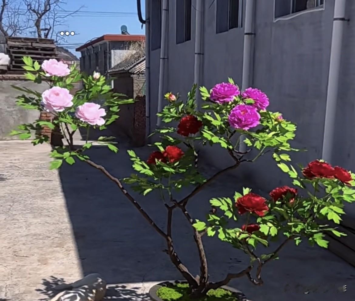 上联：有心栽花花不发
   下联：无心插柳柳成荫
你越放松，结果就越好；
你越不
