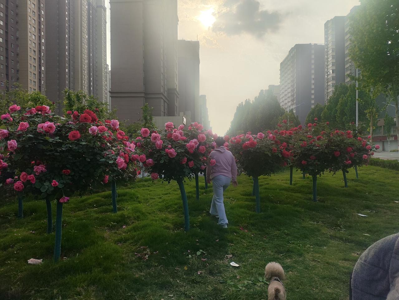 记录我的2026今天我为我的孩子祈福！愿我的儿子：承乾坤之正气，立天地之威仪。遇